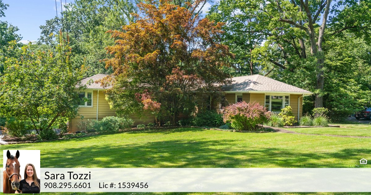 1006 Old York Rd, Neshanic Station, NJ 08853